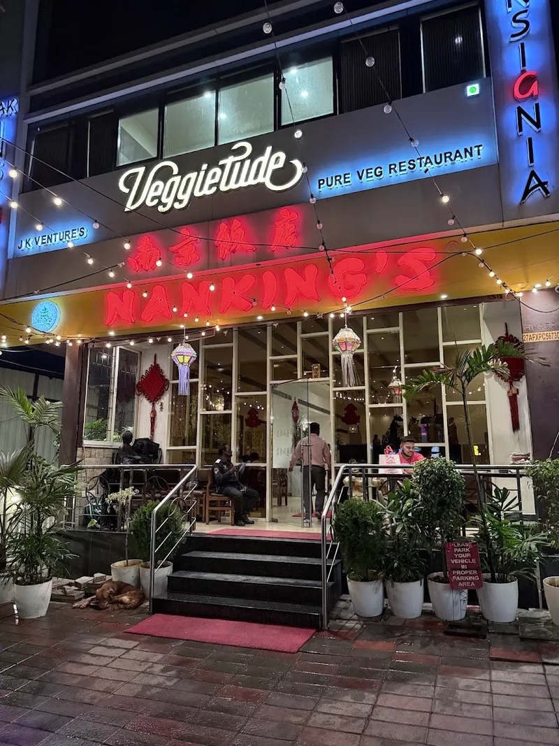 Veggietude Restaurant Civil Lines — north indian restaurant (photo 15)